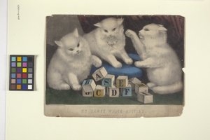 Os meus três gatinhos brancos (litografia colorida à mão)