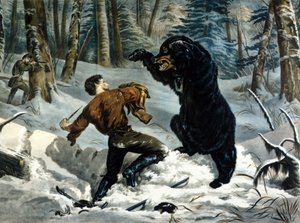 A Vida dos Caçadores (Caçadores Profissionais) no Canadá: Um caçador é atacado por um urso pardo. Ilustração por Yves e Currier.