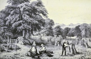 Currier & Ives Ilustração do século XIX. Colheita de N. and Ives, J.M. Currier