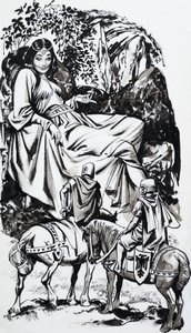 Contos de muitas terras: O azevinho e o deus-sol de Nadir Quinto