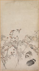 Filhotes de cachorro, pardais e crisântemos de Nagasawa Rosetsu
