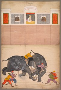 Dois elefantes brigando em um pátio antes de Muhammad Shah, c. 1730-40.