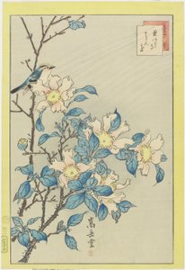 Pássaro azul e flores cor-de-rosa, 1859 (impressão do woodblock da cor)