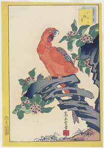 Papagaio-de-rosa na rocha, 1859 (impressão de woodblock de cor) de Nakayama Sugakudo