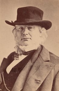 Retrato de Horace Greeley 1811-1872, 1869. de Napoleon Sarony