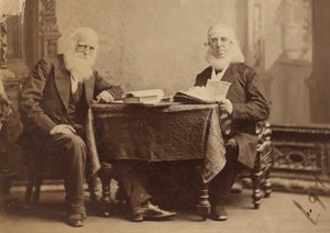 William Cullen Bryant e Peter Cooper de Napoleon Sarony