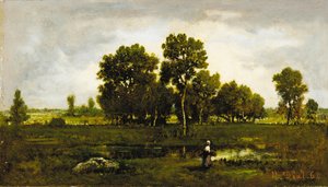Pacote perto da lagoa Viper, 1862