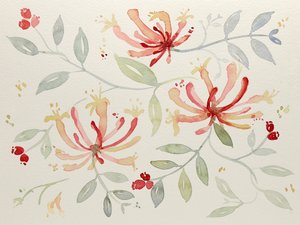 Delicadas ilustrações botânicas em aguarela de Natalie Bruns