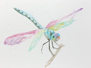 Libélulas num ramo em tons pastel de Natalie Bruns