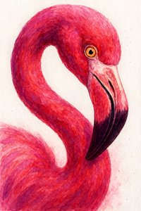 Flamingo Rosa Elegante de Natalie Bruns