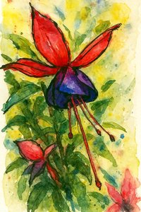 Flor em aquarela fúcsia de Natalie Bruns