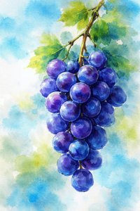 Aquarela de uvas roxas de Natalie Bruns