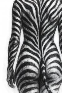 Formulário com riscas de zebra