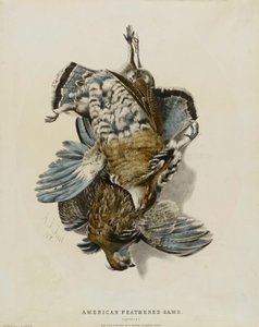 Caça de penas americana--Partridges de Nathaniel Currier