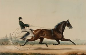  de Nathaniel Currier