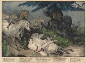 Mazeppa, placa 3 (rodeada de cavalos selvagens) de Nathaniel Currier