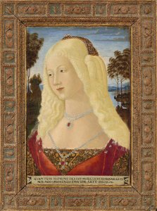 Retrato de uma senhora de Neroccio de