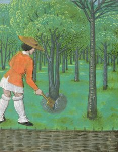 Roy 14 E VI f.28 Homem com uma pá em um pomar, de 