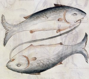 Sloane 3983 Desenho de Peixes, de uma tradução de um tratado astrológico persa por Jafar ibn Muhammad (velino) de Netherlandish School