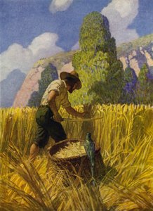 Ilustração para Robinson Crusoe (cor litho) de Newell Convers (after) Wyeth