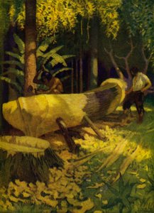 Ilustração para Robinson Crusoe (cor litho) de Newell Convers (after) Wyeth