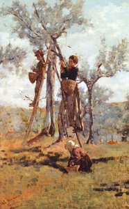 A colheita da azeitona, cerca de 1892 (azeite sobre tela)