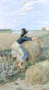 Erva de trigo em Tombolo de Niccolo Cannicci