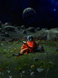 O Jardim Alienígena do Astronauta de Nicebleed