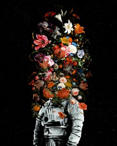 Astronauta em Flor de Nicebleed