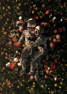 O Casal Cósmico Floresce de Nicebleed