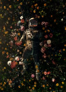 Sonho Floral Cósmico de Nicebleed