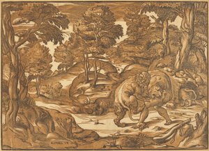 Hércules e o Leão da Nemeia de Nicolò Boldrini, after Raphael