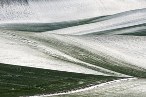  de Nicola Figliuolo