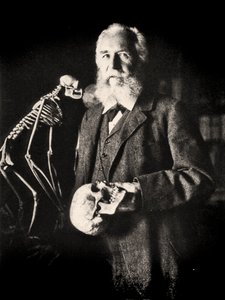 Retrato de Ernst Haeckel ao lado do esqueleto de um macaco, c.1860 (foto)
