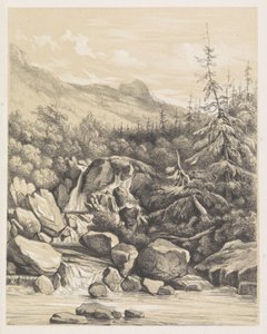 Paisagem de montanha com queda de água de Nicolaas Barnouw
