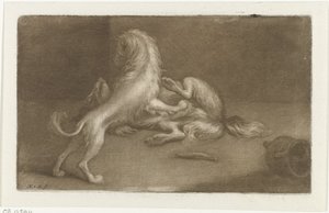 Dois cães a brincar