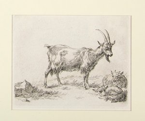 6 gravuras de de Nicolaes Berchem