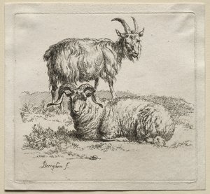 Animalia: Carneiro e Cabra