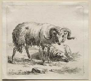 Animalia: Carneiro e Ovelha de Nicolaes Berchem