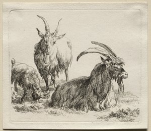Animalia: Três cabras de Nicolaes Berchem
