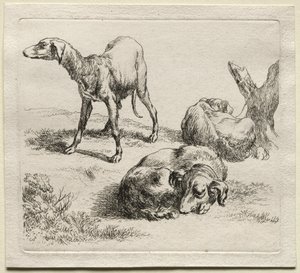 Animalia: Três cães de caça de Nicolaes Berchem