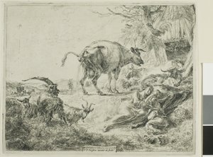 Vaca se aliviando de Nicolaes Berchem
