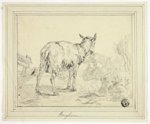 Cabra de Nicolaes Berchem