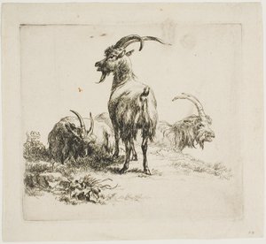 Cabras, de vários animais de Nicolaes Berchem
