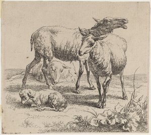 Três Ovelhas e um Cordeiro. de Nicolaes Berchem