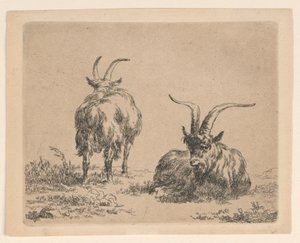 Duas cabras de Nicolaes Berchem