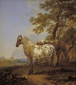 Dois cavalos em uma paisagem de Nicolaes Berchem