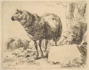 de O Conjunto de Ovelhas. de Nicolaes Berchem
