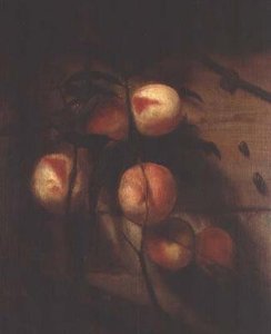 Pêssego contra uma parede, com caracóis de Nicolaes Maes