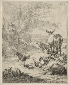 Animais em repouso. de Nicolaes Pietersz. Berchem